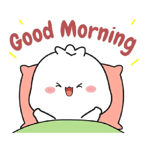 cat, a lovely pattern, rilakkuma morning, lovely kavaj seal, lovely good morning pattern