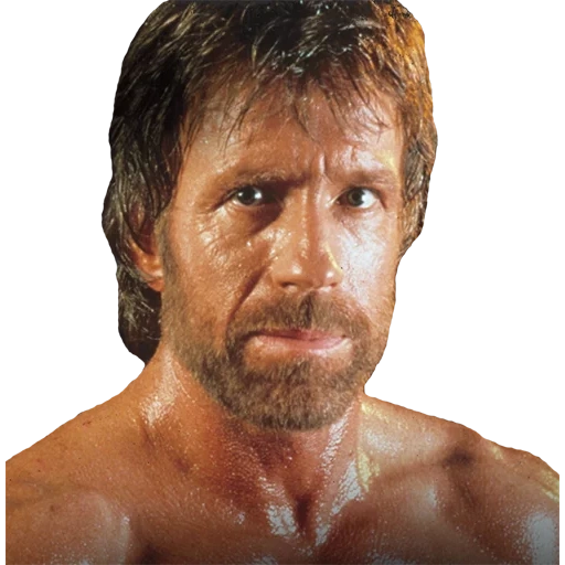 norris, the male, chuck norris, chuck norris torsos