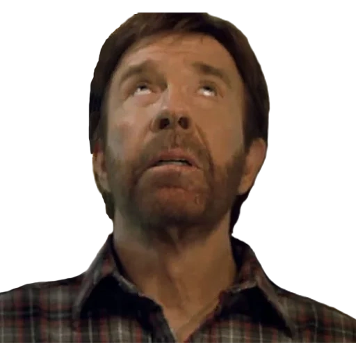 chuck norris, lire la suite de l'article