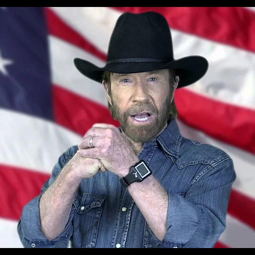 norris, chuck norris, chuck norris 2020, ksenia rappoport, pemilihan presiden as