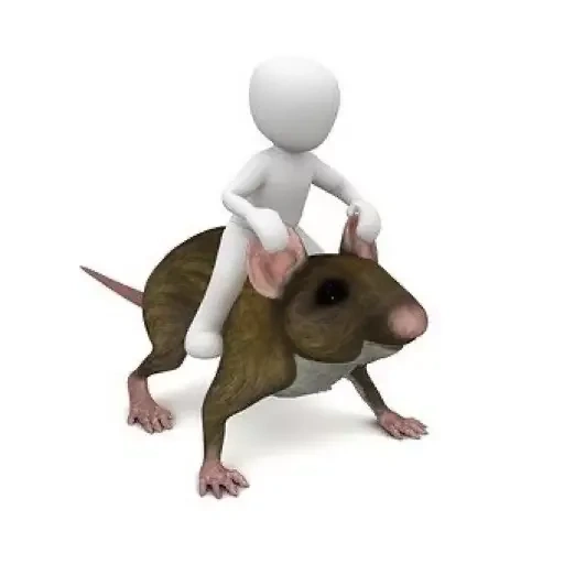 мышка живая, мышь крадется, крыса животное, мышь белом фоне, мультяшная мышь