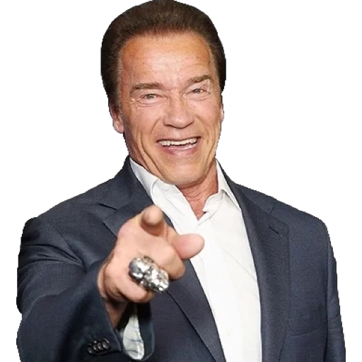 asiatico, arnold schwarzenegger, adesivi di celebrità