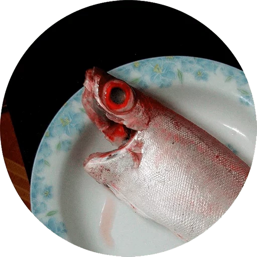 pescado, cortar el pescado zhuqi, peces anchos, mero, perca roja