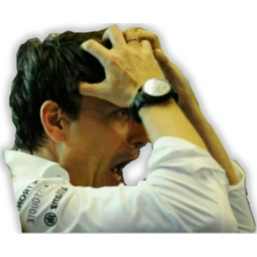 the male, human, notlikethis, fight stress, toto wolff is evil
