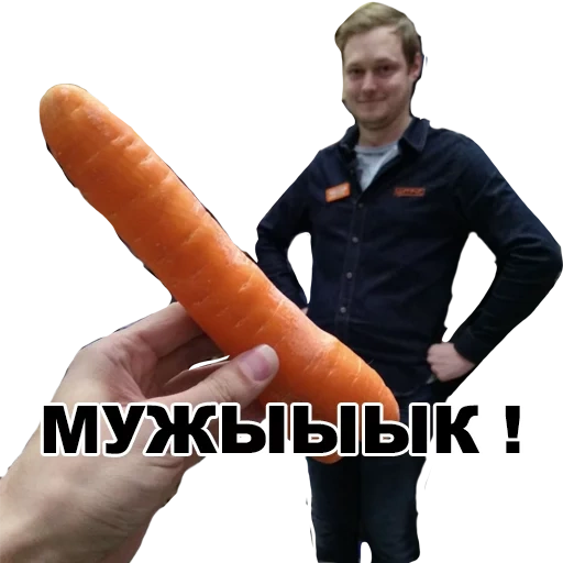мужчина, морковь, морковка, морковка мужа, гигантская морковка