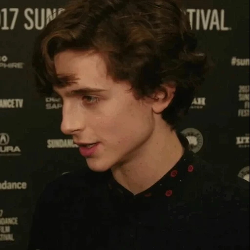 joven, timothy salame, joven actor, chico guapo, timothée chalamet