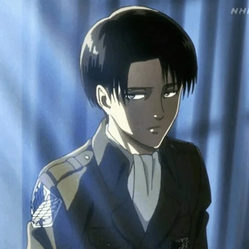 levi aot, prélèvement capural, prélèvement, prélèvement, levi ackerman