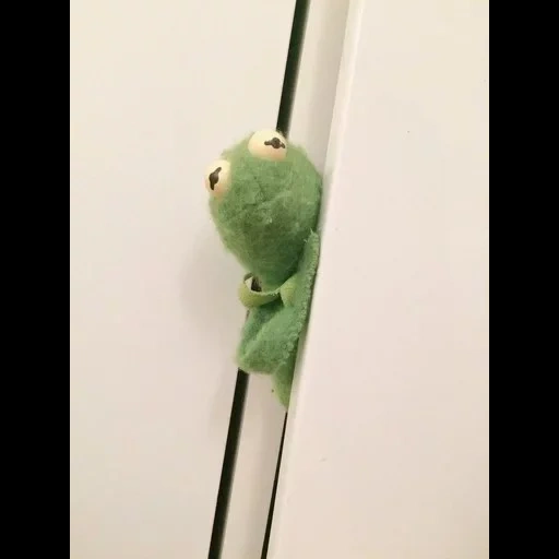 kermit, modelo de kemit, rana de rama, rana comte, corazón de rana cormite