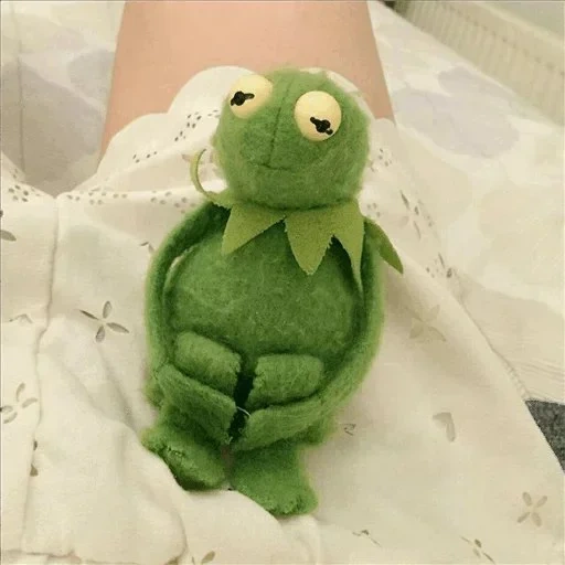 kermit, komi frog, comet the frog, komi frog model, frog komi aesthetics