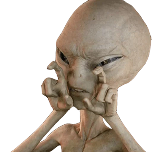 lexnour cover, wikipédia en russe, hypnopics collective, paul est une pièce secrète, statue de paul l'alien