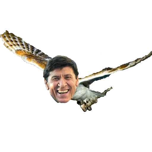 the male, valakas meme, the power of thoughts, i am marveling in the sky, gianni morandi