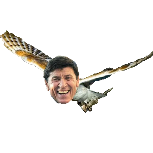 il maschio, meme valakas, il potere dei pensieri, mi sto meravigliando del cielo, gianni morandi