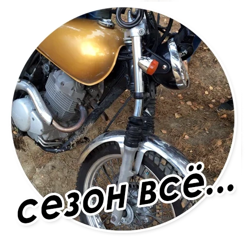 moto, motocicleta, moto triumph, motocicleta golda, motocicleta motocicleta