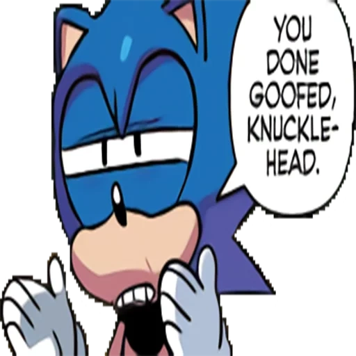 sonic, sonic, sonic boom, you done goofed, sonic the hedgehog