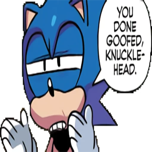 sonic, sonic, sonic boom, you don't goofed, sonic das hedgehog