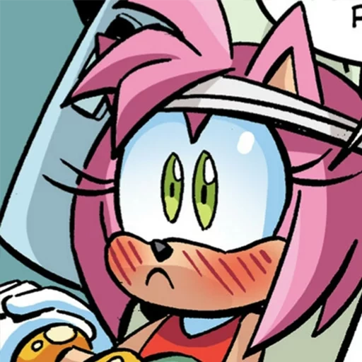 sonic amy, sonic amy rose, sonic the hedgehog, amy rose giant sonic, amy rose sonic boom together