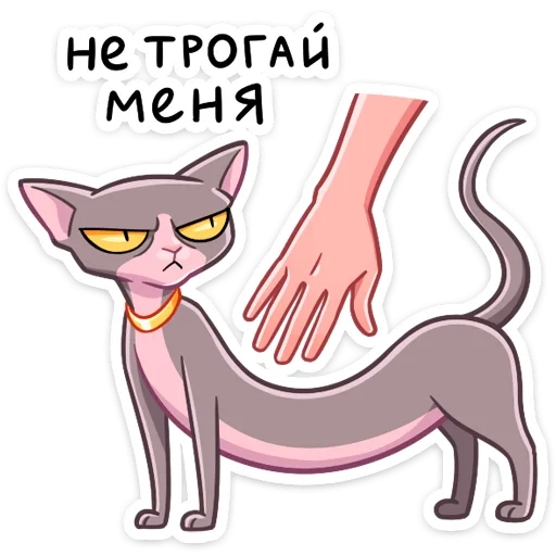 клео, кошка клео, рамзес клео, клео невдупленыш