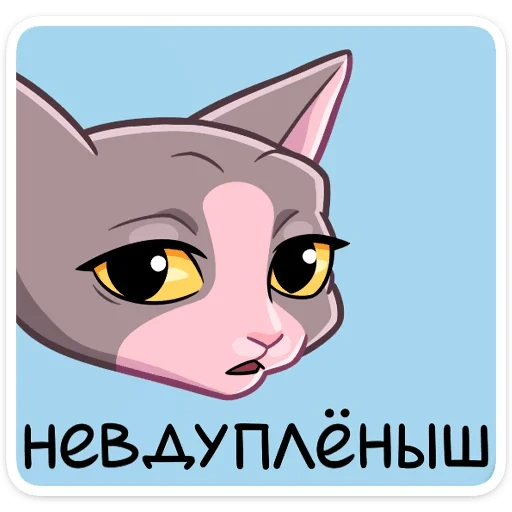 клео, кошка клео, рамзес клео