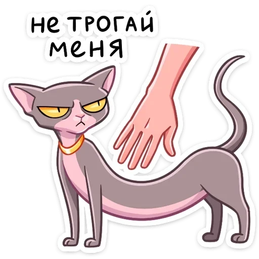 клео, милые, кошка клео