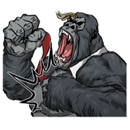 gorilla, disegno gorilla, grande combattimento di gorilla, gorilla king cong, gorilla juu jitsu