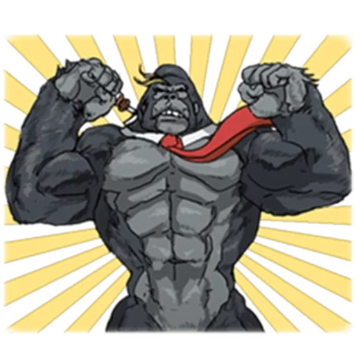 gorilla, faccia da goril, gorilla pock, atleta di goril, muscle furry gorilla bara