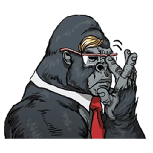 gorille, gorille kepke, gorille de rage, cigare de singe, singe avec une veste