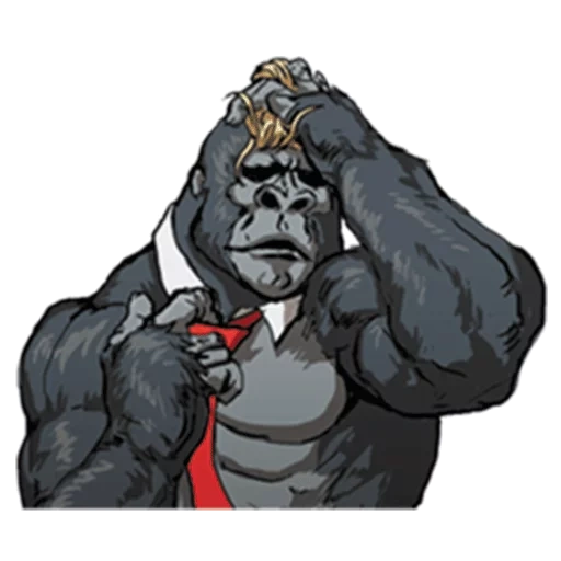 gorilla, gorilla pock, arthur gorilla, grande gorilla, disegno gorilla