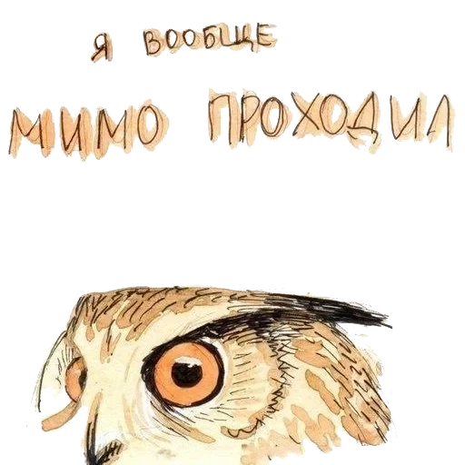 owl, hibou hibou, oeil de chouette, la blague de la chouette, hibou avec inscription