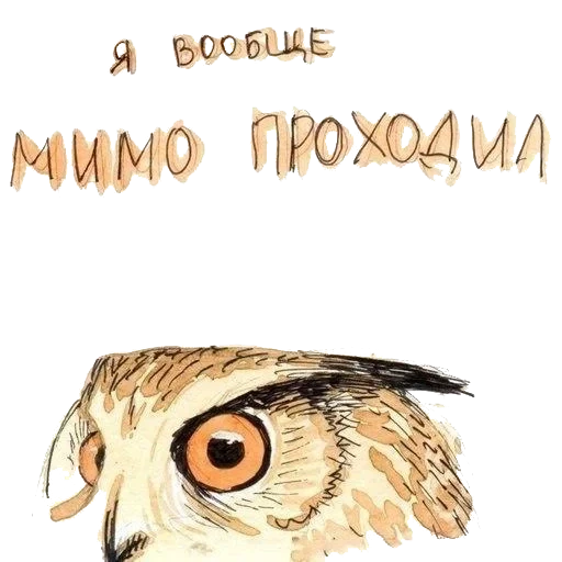 burung hantu, burung hantu burung hantu, mata burung hantu, lelucon burung hantu, burung hantu ditandai dengan prasasti