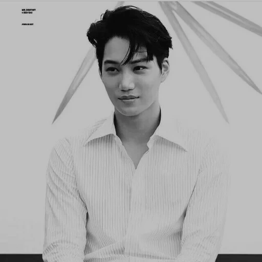 kai exo, kim jongin, пак чанёль, ким чен ир, baekhyun exo