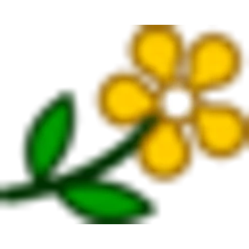 floret, smiley face flower, expression flower, domestic plant, little smiling face and little flower