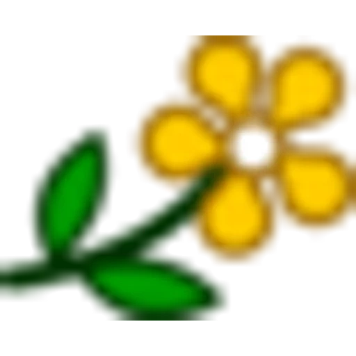 die kleine blume, die blume des smileys, die blume des ausdrucks, hausgewächse, kleine lächelnde blume