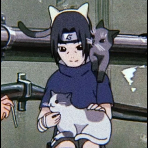 naruto, itachi kotik, telinga itachi, itachi bun, ayam itachi