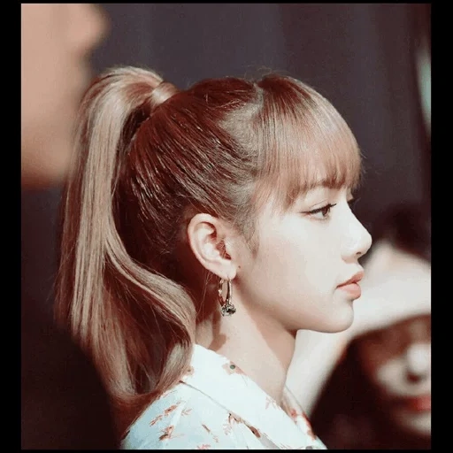 black powder, lisa blackpink, fuchs schwarz pink pony, fuchs schwarzes pulverprofil, lalisa panoban profil