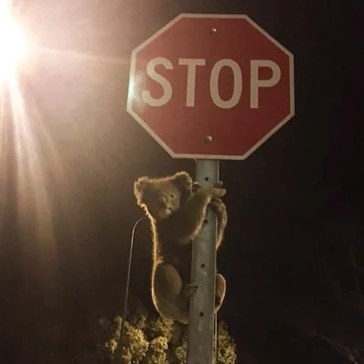 ténèbres, panneau stop, signe de l'arrêt sda, le signe de l'arrêt rouge, le signe de la route de l'arrêt