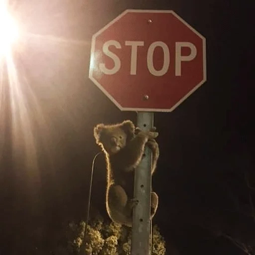 buio, segnale di stop, segno di stop sda, il segno della fermata rossa, il segno stradale della fermata