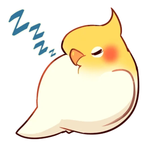 uccelli, uccello, pollo anime, corella parrot, corella chibi parrot