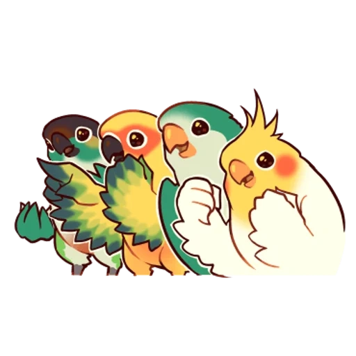 uccelli, cockatiel, pappagalli, adesivo di parling, pappagallo cobabard
