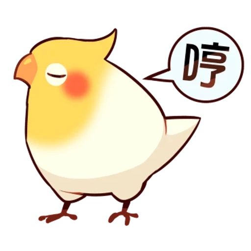 corella, corella, corella coca, corella chibi parrot, corella kawai parrot