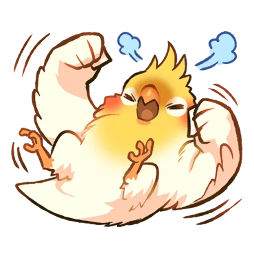 koleloi, funny bird, anime chicken, corella parrot, cobabird parrot