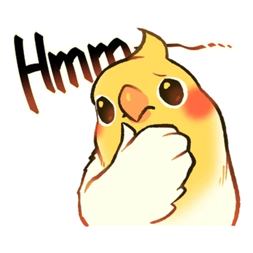 discord, chibi corella, corella parrot, lutino cockatiel