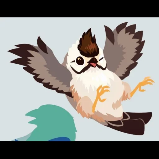 uccello, gufo gufo, bird filin, bird sparrow, uccello cartone animato