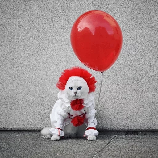 pennywise, katze penniviz, lieber penniviz, film es ist ein clown pennyiz, clown pennyiz 2017 puppe