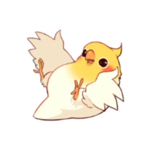 gli uccelli, chibi corella, animali carini, pollo anime, pappagallo cobabird