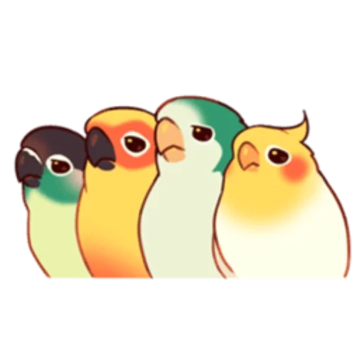 birds, parrot, animals are cute, kavai bird, parrot sticker