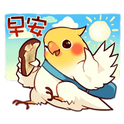 burung-burung, burung yang terhormat, cobabard parrot, gambar kawaii yang lucu, discord bullet echo