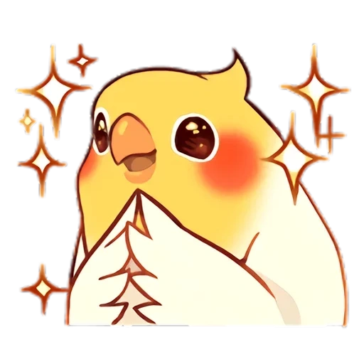 burung-burung, menyenangkan, corella parrot, gambar kawaii yang lucu, gambar binatang yang indah