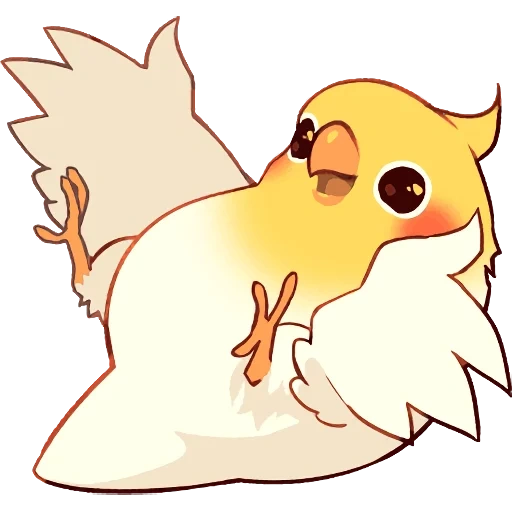 corella, chibi corella, el pájaro es divertido, loro de cobabard, dibujo de pájaros divertidos