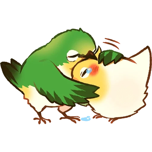 discord, coca bird, funny bird, vasap bird, cobabird parrot