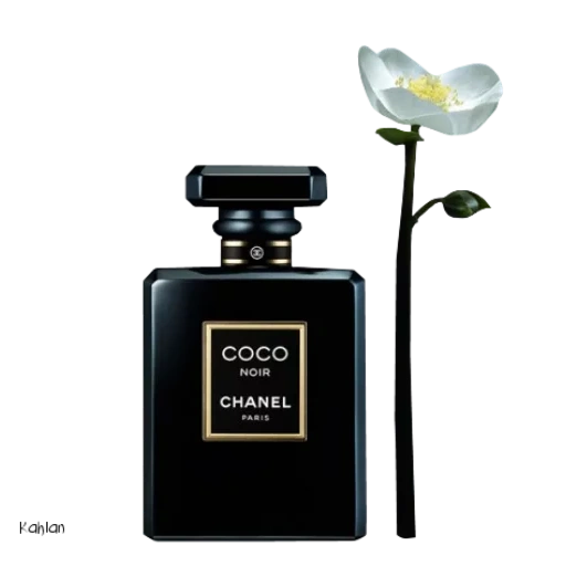 coco noir, chanel coco noir, шанель ноир духи, шанель коко нуар, шанель ноир черные